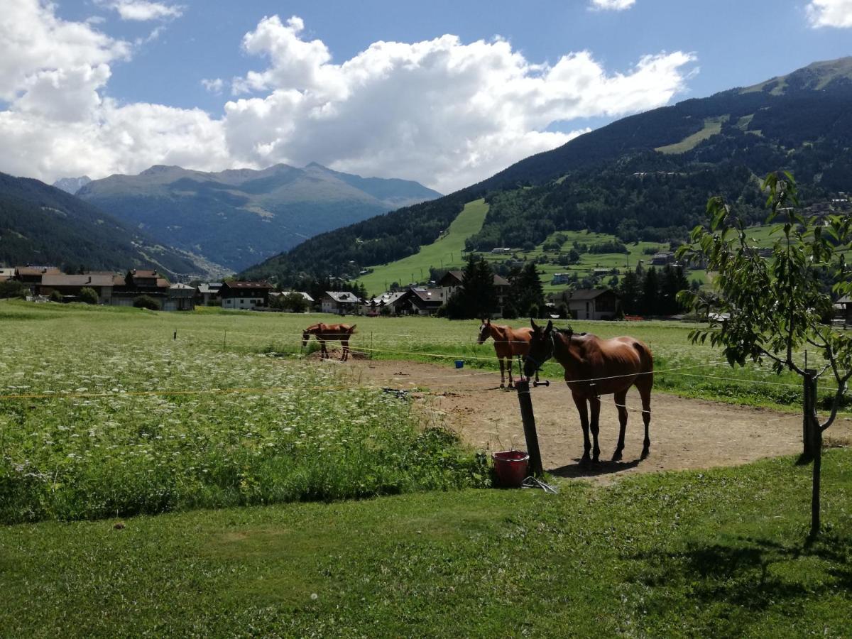 Casa Giulia Appartement Bormio Buitenkant foto