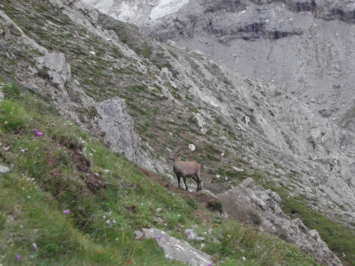 Casa Giulia Appartement Bormio Buitenkant foto