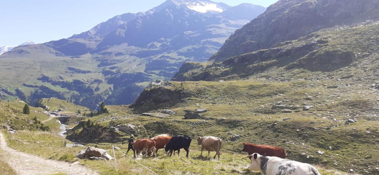 Casa Giulia Appartement Bormio Buitenkant foto